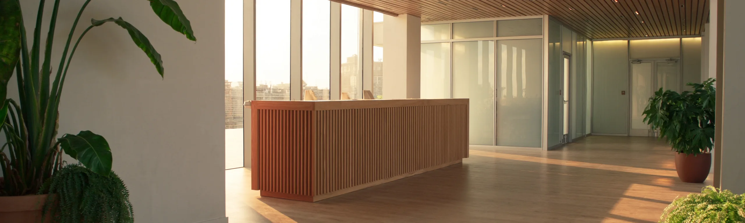 Lichte ontvangsthal met een houten balie, planten en grote ramen