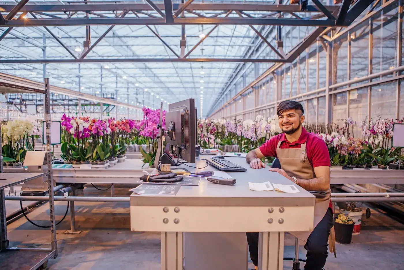 Medewerker met een schort aan een werkplek met beeldscherm in een kas vol orchideeën